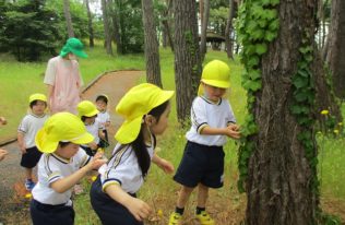 緑が丘幼稚園