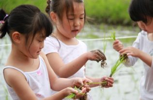 幼保連携型認定こども園　金城幼稚園・保育園