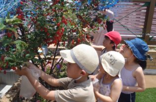 認定こども園 恵光学園第１幼稚園