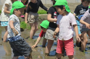 認定こども園エービーシー幼稚園