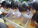 認定こども園あそびの森金鵄幼稚園（金鵄有明学園）